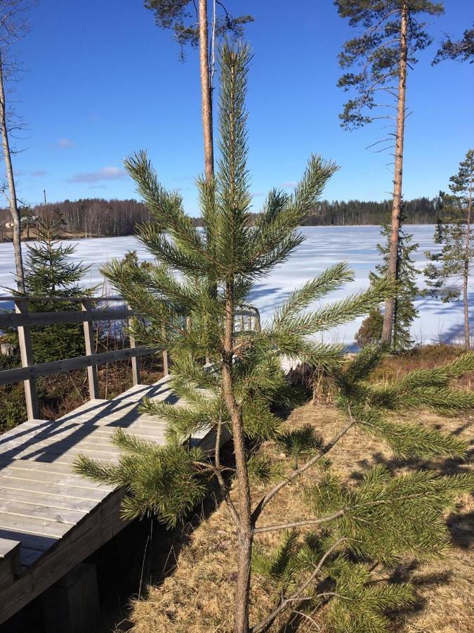 Vita Ruokolahti 1-2 Luaran gambar